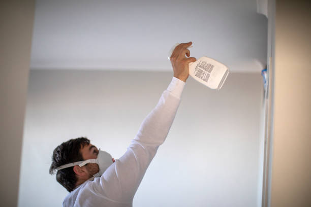 Best Mold Removal Near Me  in Moody Af, GA