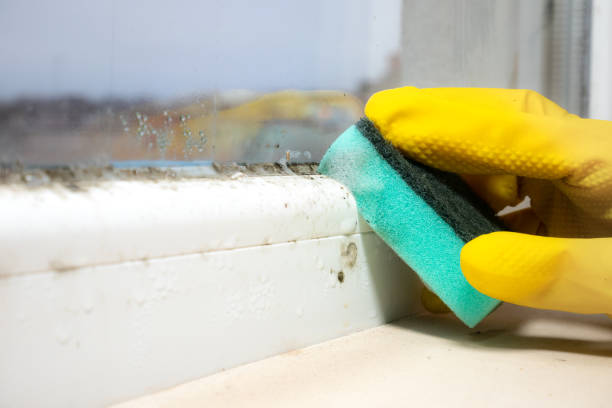Best Mold Cleaning Services  in Moody Af, GA