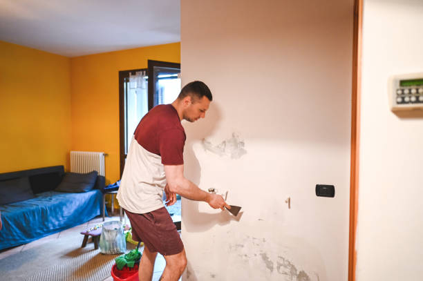 Best Certified Mold Removal  in Moody Af, GA